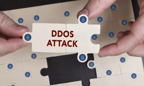  DDoS-      55%  2025 